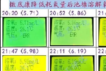 为什么最近养殖水体亚硝酸盐特别容易升高?