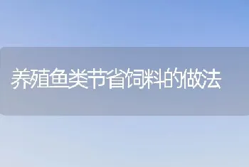 养殖鱼类节省饲料的做法