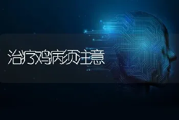 治疗鸡病须注意