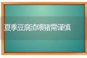 夏季豆腐渣喂猪需谨慎