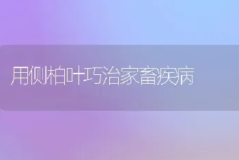 用侧柏叶巧治家畜疾病