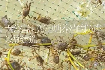 无公害河蟹池塘养殖的防逃设施建造