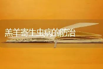 羔羊寄生虫病的防治