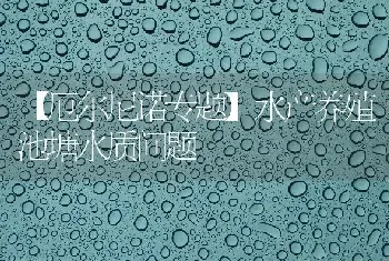 水产养殖池塘水质问题