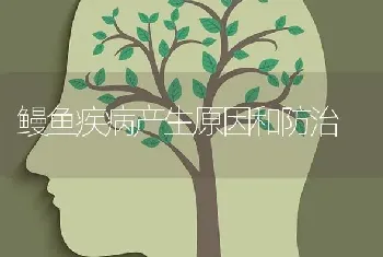 鳗鱼疾病产生原因和防治