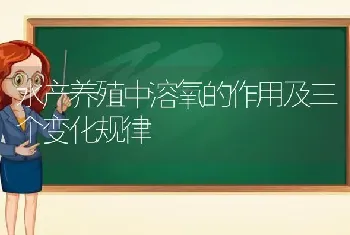 水产养殖中溶氧的作用及三个变化规律