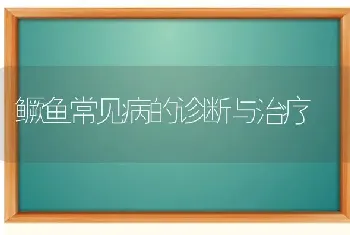 鳜鱼常见病的诊断与治疗