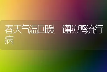 春天气温回暖 谨防鸭流行病