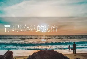 青虾黑体病的防治