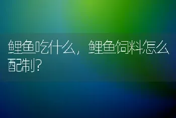 鲤鱼吃什么,鲤鱼饲料怎么配制?