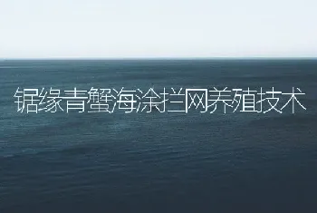 锯缘青蟹海涂拦网养殖技术