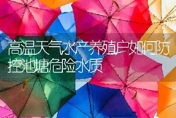 高温天气水产养殖户如何防控池塘危险水质