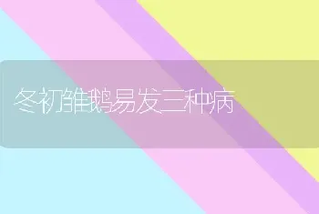 冬初雏鹅易发三种病