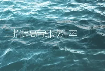 三招提高青虾成活率