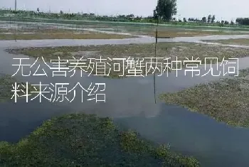 无公害养殖河蟹两种常见饲料来源介绍