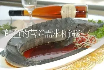 鲟鱼的营养需求和饲料