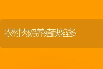 农村肉鸡养殖缺陷多