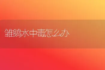 雏鹅水中毒怎么办