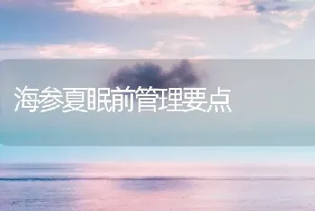 海参夏眠前管理要点