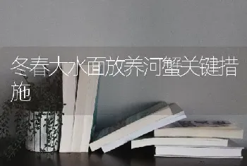 冬春大水面放养河蟹关键措施