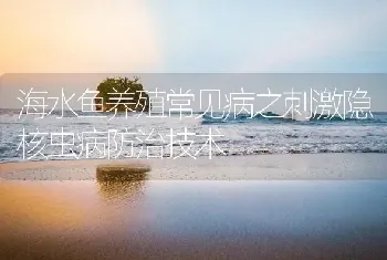 海水鱼养殖常见病之刺激隐核虫病防治技术