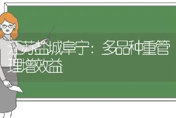 江苏盐城阜宁：多品种重管理增效益