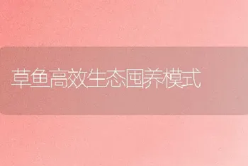 草鱼高效生态囤养模式