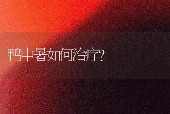 鸭中暑如何治疗?