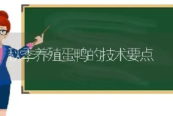 秋季养殖蛋鸭的技术要点