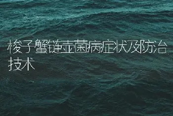 梭子蟹链壶菌病症状及防治技术