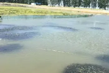 水产养殖池塘水质浑浊的处理思路新解