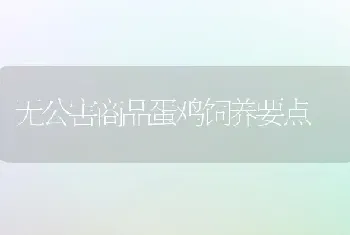 夏秋养好羊 谨防腐蹄病