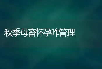 秋季母畜怀孕咋管理