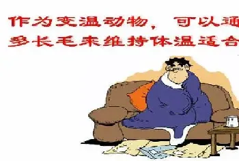 入冬前还有鱼虾蟹没卖怎么办?养殖户如何才能顺利越冬?