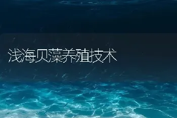 浅海贝藻养殖技术