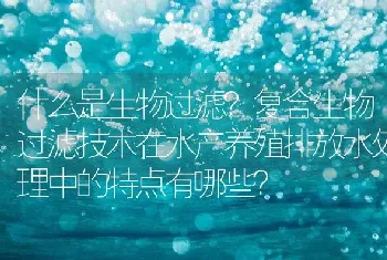 什么是生物过滤?复合生物过滤技术在水产养殖排放水处理中的特点有哪些?