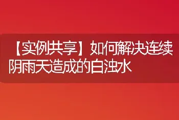 如何解决连续阴雨天造成的白浊水