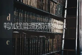 鸭加强管理预防热应激