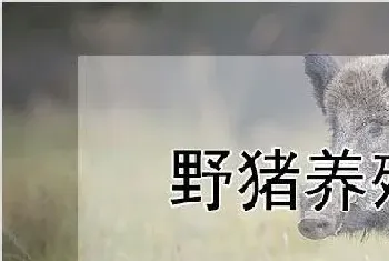 野猪养殖技术要点