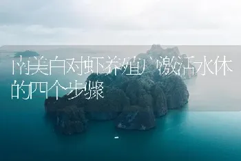 南美白对虾养殖户激活水体的四个步骤