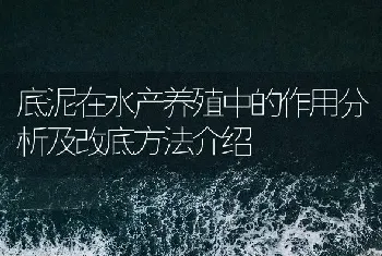 底泥在水产养殖中的作用分析及改底方法介绍