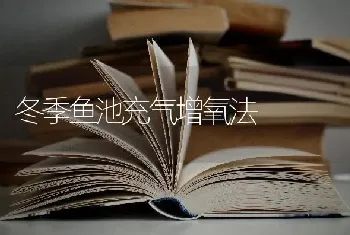 冬季鱼池充气增氧法