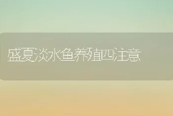 盛夏淡水鱼养殖四注意