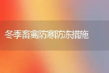 冬季畜禽防寒防冻措施