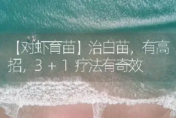 治白苗,有高招,3+1疗法有奇效