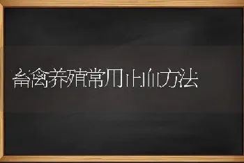 畜禽养殖常用止血方法