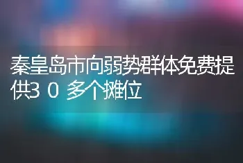 秦皇岛市向弱势群体免费提供30多个摊位