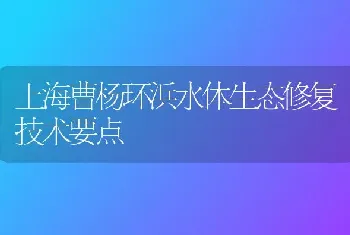 上海曹杨环浜水体生态修复技术要点