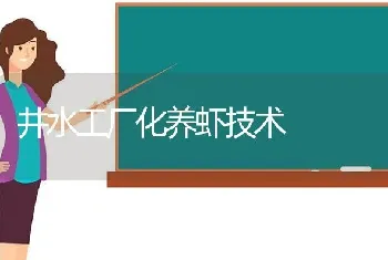 井水工厂化养虾技术