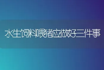 水生饲料喂猪应做好三件事